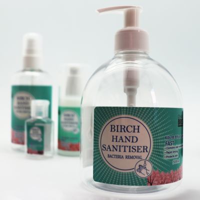 Hand Sanitiser 500ml with the Birch range